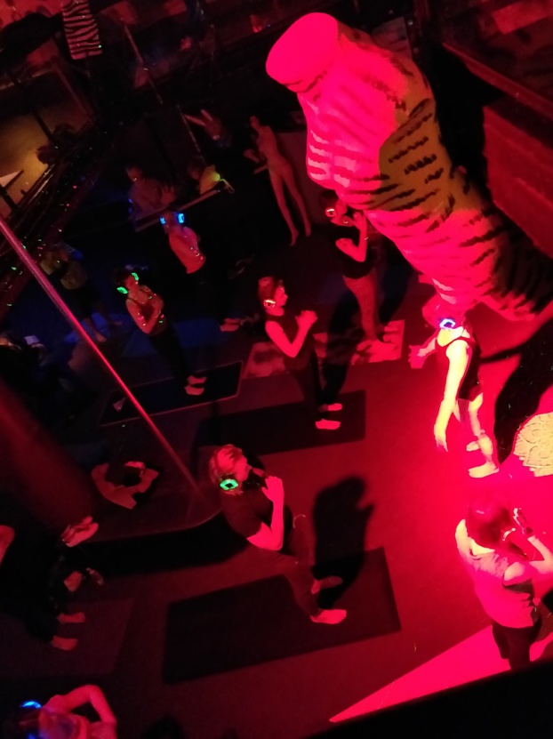 Silent Disco Yoga, Silent Yoga, Yoga, Namaste, Kopfhörer Yoga, Glow in the dark Yoga, Silent Sunset Yoga, YogawithRicarda, Johanna Fellner